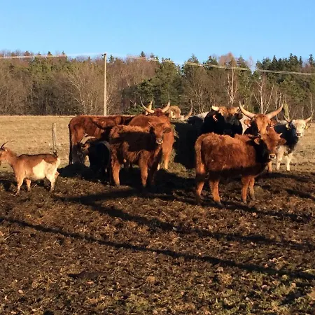 Lägenhet Rybarska Basta