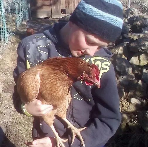 Rybářská Bašta Appartamento Netolice