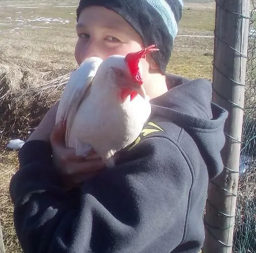 Appartamento Rybářská Bašta Netolice